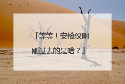 等等！安检仪刚刚过去的是啥？