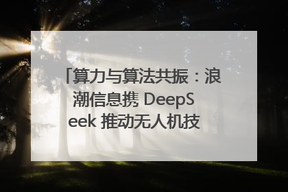算力与算法共振：浪潮信息携 DeepSeek 推动无人机技术在舟山落地