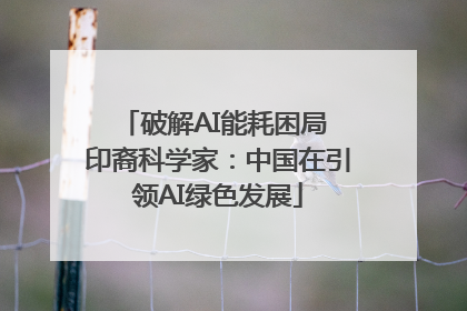 破解AI能耗困局 印裔科学家：中国在引领AI绿色发展