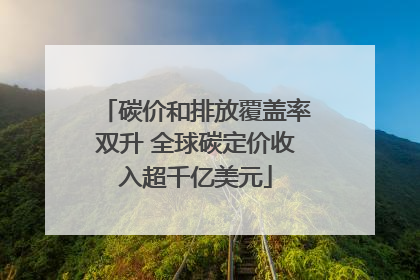 碳价和排放覆盖率双升 全球碳定价收入超千亿美元