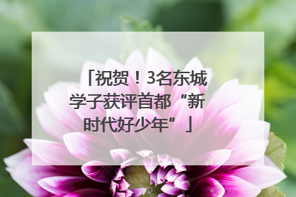 祝贺！3名东城学子获评首都“新时代好少年”