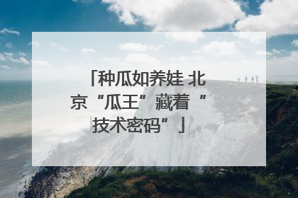 种瓜如养娃 北京“瓜王”藏着“技术密码”