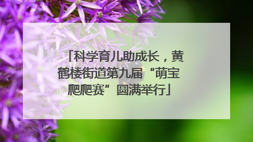 科学育儿助成长，黄鹤楼街道第九届“萌宝爬爬赛”圆满举行