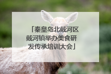 秦皇岛北戴河区戴河镇举办美食研发传承培训大会