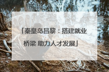 秦皇岛昌黎：搭建就业桥梁 助力人才发展