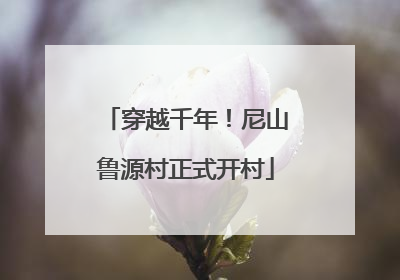 穿越千年！尼山鲁源村正式开村
