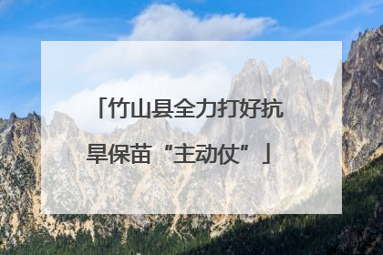 竹山县全力打好抗旱保苗“主动仗”