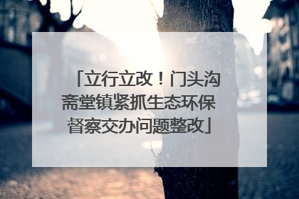 立行立改！门头沟斋堂镇紧抓生态环保督察交办问题整改