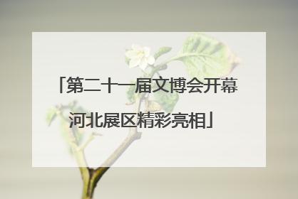 第二十一届文博会开幕 河北展区精彩亮相