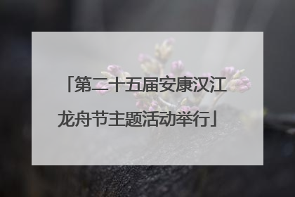 第二十五届安康汉江龙舟节主题活动举行