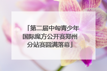 第二届中匈青少年国际魔方公开赛郑州分站赛圆满落幕