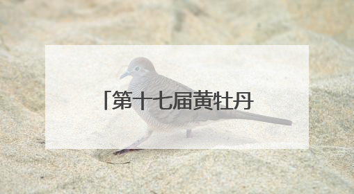第十七届黄牡丹藏医药文化旅游节开幕 南伊沟景区重新开放