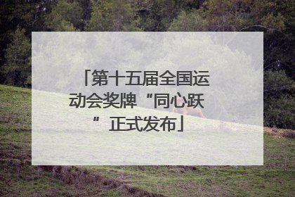 第十五届全国运动会奖牌“同心跃”正式发布