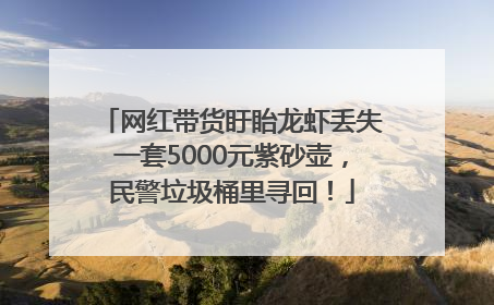 网红带货盱眙龙虾丢失一套5000元紫砂壶，民警垃圾桶里寻回！