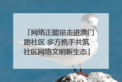网络正能量走进澳门路社区 多方携手共筑社区网络文明新生态