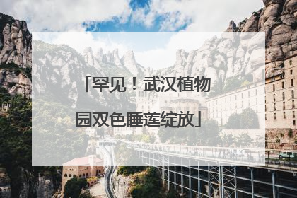 罕见！武汉植物园双色睡莲绽放