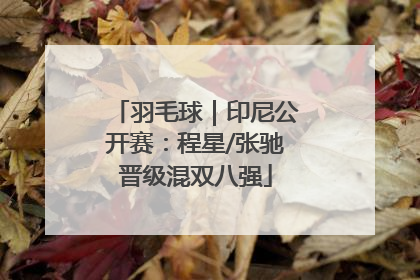 羽毛球｜印尼公开赛：程星/张驰晋级混双八强