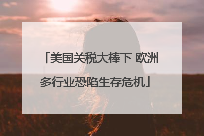 美国关税大棒下 欧洲多行业恐陷生存危机