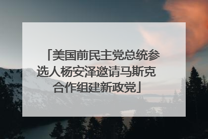 美国前民主党总统参选人杨安泽邀请马斯克合作组建新政党