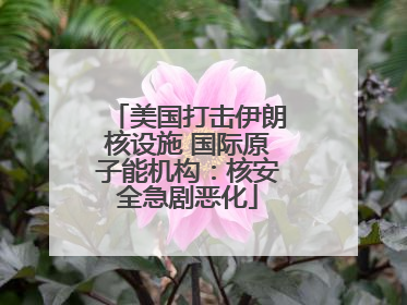 美国打击伊朗核设施 国际原子能机构：核安全急剧恶化