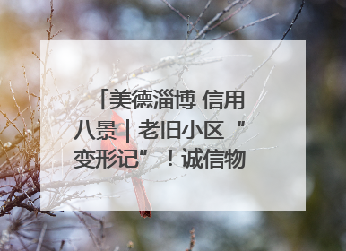 美德淄博 信用八景｜老旧小区“变形记”！诚信物业焐热居民心窝