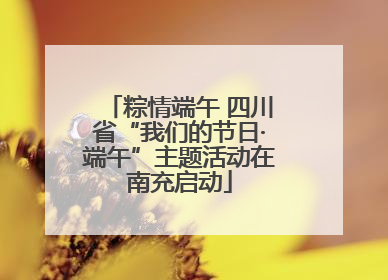 粽情端午 四川省“我们的节日·端午”主题活动在南充启动