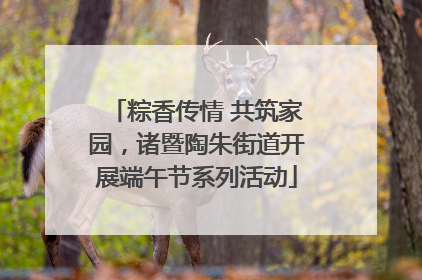 粽香传情 共筑家园，诸暨陶朱街道开展端午节系列活动
