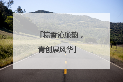 粽香沁廉韵，青创展风华