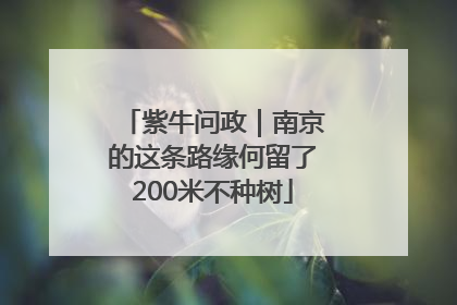 紫牛问政｜南京的这条路缘何留了200米不种树