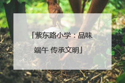 紫东路小学：品味端午 传承文明