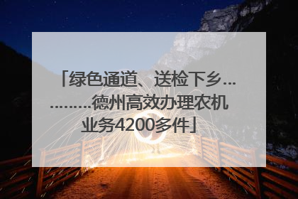 绿色通道、送检下乡…………德州高效办理农机业务4200多件