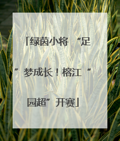 绿茵小将 “足”梦成长！榕江“园超”开赛