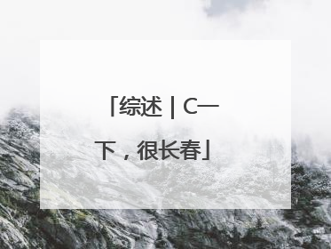 综述｜C一下，很长春