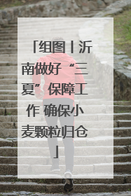 组图丨沂南做好“三夏”保障工作 确保小麦颗粒归仓