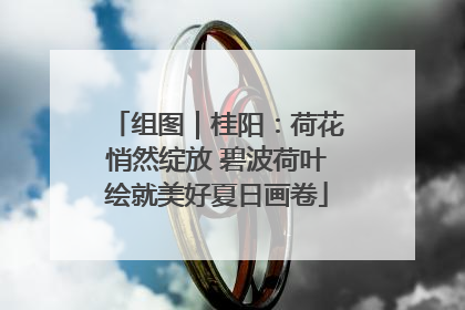 组图｜桂阳：荷花悄然绽放 碧波荷叶绘就美好夏日画卷
