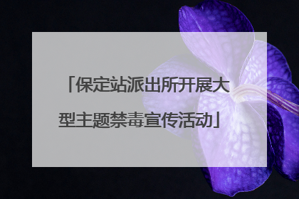 保定站派出所开展大型主题禁毒宣传活动