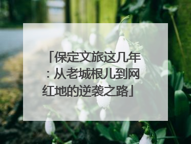 保定文旅这几年：从老城根儿到网红地的逆袭之路
