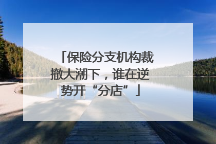 保险分支机构裁撤大潮下，谁在逆势开“分店”