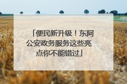 便民新升级！东阿公安政务服务这些亮点你不能错过
