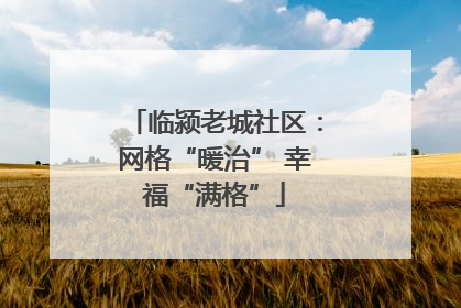 临颍老城社区：网格“暖治” 幸福“满格”