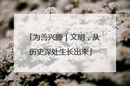 为善兴滕｜文明，从历史深处生长出来