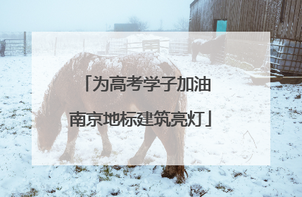 为高考学子加油 南京地标建筑亮灯