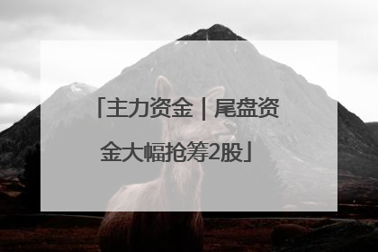 主力资金｜尾盘资金大幅抢筹2股