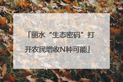丽水“生态密码”打开农民增收N种可能