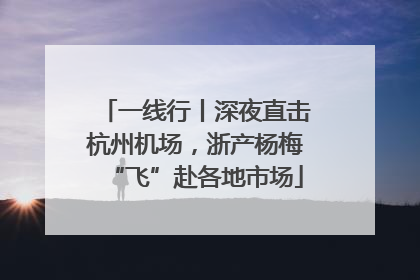 一线行丨深夜直击杭州机场，浙产杨梅“飞”赴各地市场
