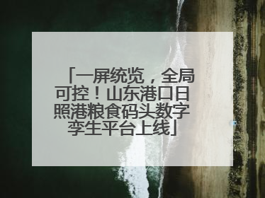 一屏统览，全局可控！山东港口日照港粮食码头数字孪生平台上线
