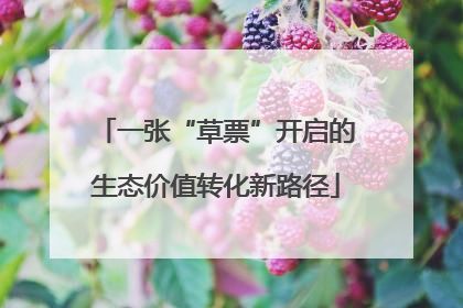 一张“草票”开启的生态价值转化新路径