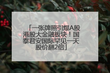一张牌照引爆A股港股大金融板块！国泰君安国际罕见一天股价翻2倍