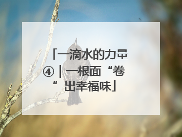 一滴水的力量④｜一根面“卷”出幸福味