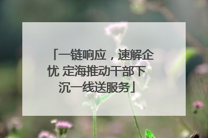一链响应，速解企忧 定海推动干部下沉一线送服务